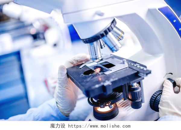 使用化学生物显微镜的科学家医学实验室的详细信息，使用化学生物显微镜的科学家手测试样品